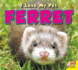 Ferret (I Love My Pet (Library))