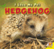 Hedgehog (Av2 Let's Read! I Love My Pet)