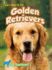 Let's Hear It for Golden Retrievers (Dog Applause)