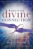Diet for Divine Connection: Beyond Junk Foods and Junk Thoughts to at-Will Spiritual Connection