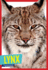 Lynx (Wild Cats)