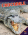 Crocodile Paperback
