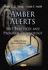 Amber Alerts: Best Practices and Program Technology (Children*S Issues, Laws and Programs)
