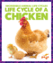 Life Cycle of a Chicken (Pogo Books: Incredible Animal Life Cycles)
