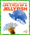 Life Cycle of a Jellyfish