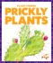Prickly Plants (Pogo Books: Plant Power)