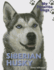 Siberian Husky (My Favorite Dogs (Continuation))