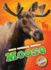 Moose (North American Animals)