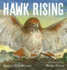 Hawk Rising