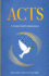 Acts: A Contextual Commentary