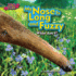 My Nose is Long and Fuzzy (Zoo Clues)