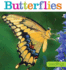 Seedlings: Butterflies
