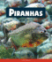 Piranhas (Animals of the Rain Forest)