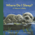 Where Do I Sleep?: A Nature Lullaby