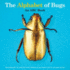 The Alphabet of Bugs: an Abc Book