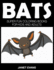 Bats: Super Fun Coloring Books For Kids And Adults