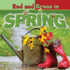 Red and Green in Spring (Concepts)