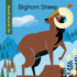 Bighorn Sheep (My Early Library: My Favorite Animal)
