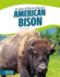 American Bison (Animals of North America) (Animals of North America (Paperback))