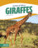 Giraffes Animals of Africa Library Bound Set of 10