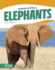 Elephants Animals of Africa Paperback Set of 10