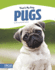 Pugs (That's My Dog (Paperback Set of 8))