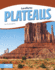 Plateaus (Focus Readers: Landforms: Beacon Level)