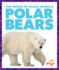 Polar Bears (World of Ocean Animals)