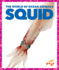 Squid (Pogo Books: the World of Ocean Animals)