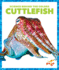 Cuttlefish (Pogo Books: Science Behind the Colors)