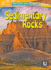 Sedimentary Rocks