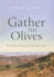Gather the Olives: On Food and Hope and the Holy Land