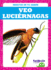 Veo Lucirnagas / I See Fireflies