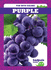 Purple (Fun With Colors)