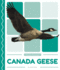 Canada Geese (Pond Animals (Set of 8))