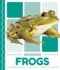 Pond Animals: Frogs