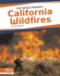 California Wildfires 21st Century Disasters