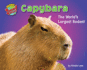 Capybara: the World's Largest Rodent (More Supersized! )