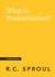 What is Predestination? (Crucial Questions)