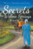 Secrets of Willow Springs: Book 1 (Amish of Lawrence County)