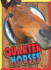 Quarter Horses (Horse Crazy)