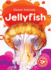 Jellyfish (Ocean Animals)