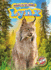 Lynx (Animals of the Forest: Blastoff! Readers, Level 2)