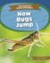 How Bugs Jump 9781644944301