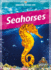 Seahorses