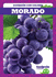 Morado / Purple