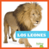 Los Leones (Lions) (Bullfrog Books Spanish Edition) (Los Grandes Felinos/ Big Cats)