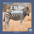 Z is for Zebra