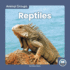 Reptiles (Animal Groups)