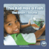 This Kid Has a Fish (on It, Phonics! Vowel Sounds)